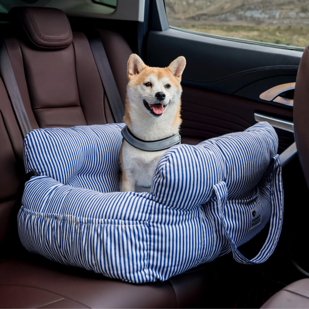 Hondenmand voor in de Auto – Veilig & Comfortabel – Met Handvaten, Opbergruimte & Wasbare Hoes – M & L Maat