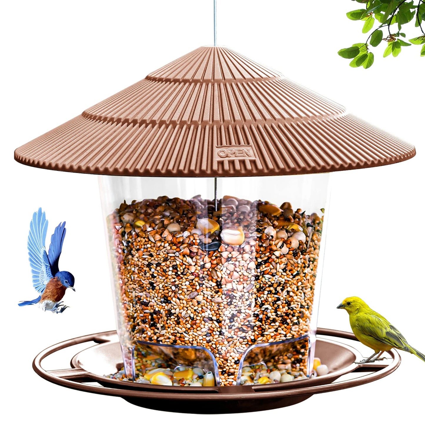 Vogelvoeder voor Buiten – Squirrel Proof Design – 820ml Capaciteit – Doorzichtig Plastic – Voor Tuin & Balkon – Eenvoudig te Vullen