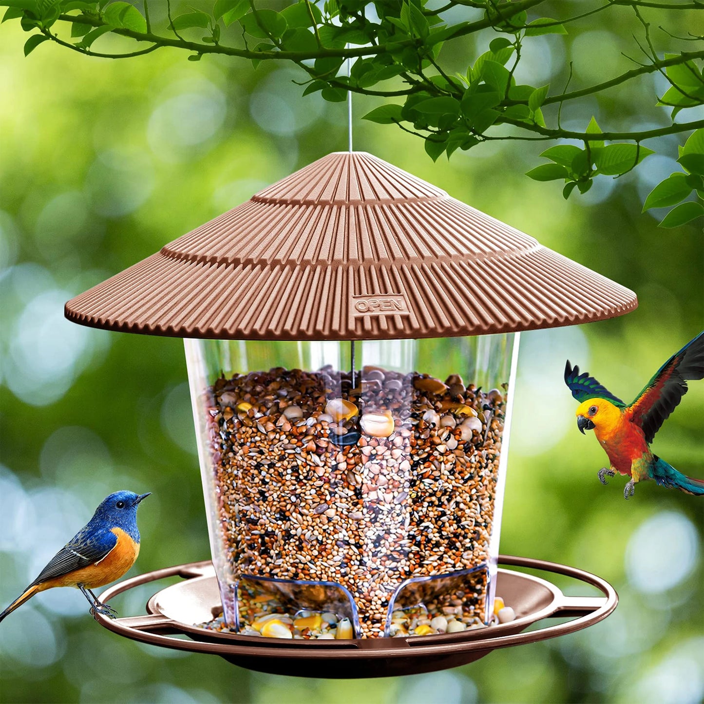 Vogelvoeder voor Buiten – Squirrel Proof Design – 820ml Capaciteit – Doorzichtig Plastic – Voor Tuin & Balkon – Eenvoudig te Vullen