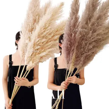 Pampas Plumes – Siergras Set van 3 – 90/120 cm – Onderhoudsvrij & Duurzaam – Voor Boho of Modern Interieur