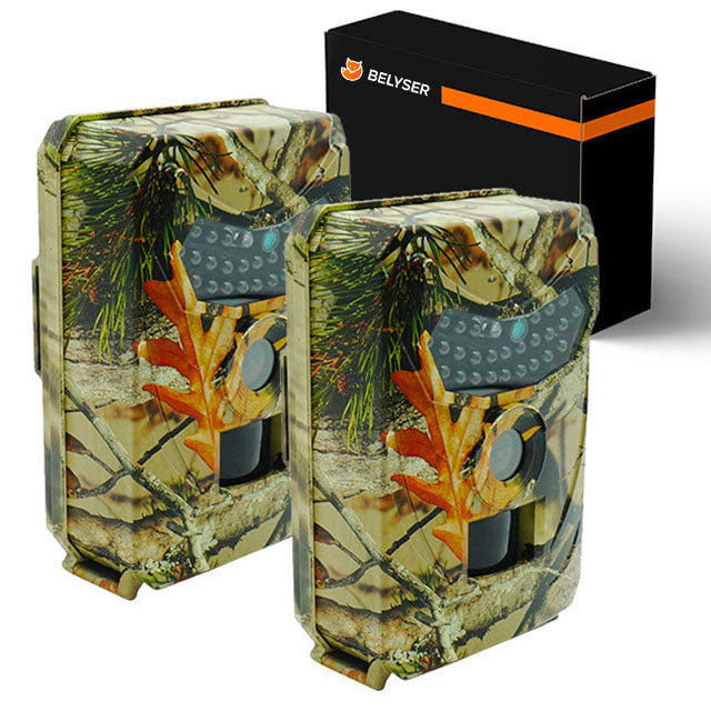 Wildcamera met Nachtzicht – Bewegingsdetectie & Full HD voor Beveiliging en Dierenobservatie