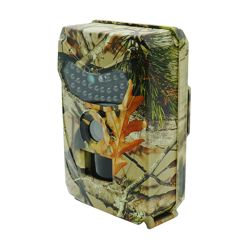Wildcamera met Nachtzicht – Bewegingsdetectie & Full HD voor Beveiliging en Dierenobservatie