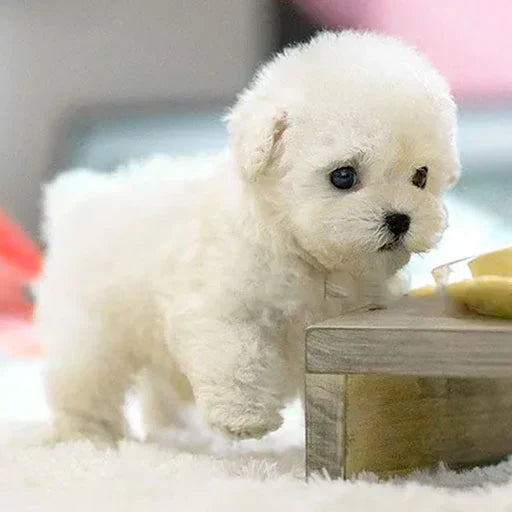 Ultra-Realistische Robotic Puppy Pluche – Interactieve Levensechte Hond – Loopt, Blaft en Reageert – Voor Kinderen & Volwassenen