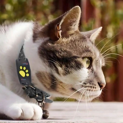 FindMyCat GPS Tracker voor Katten – Zonder Abonnement – Veiligheidszone Alarm – Waterdicht & Lichtgewicht – Tot 12 Dagen Batterijduur