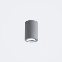 Lichtgrijs
