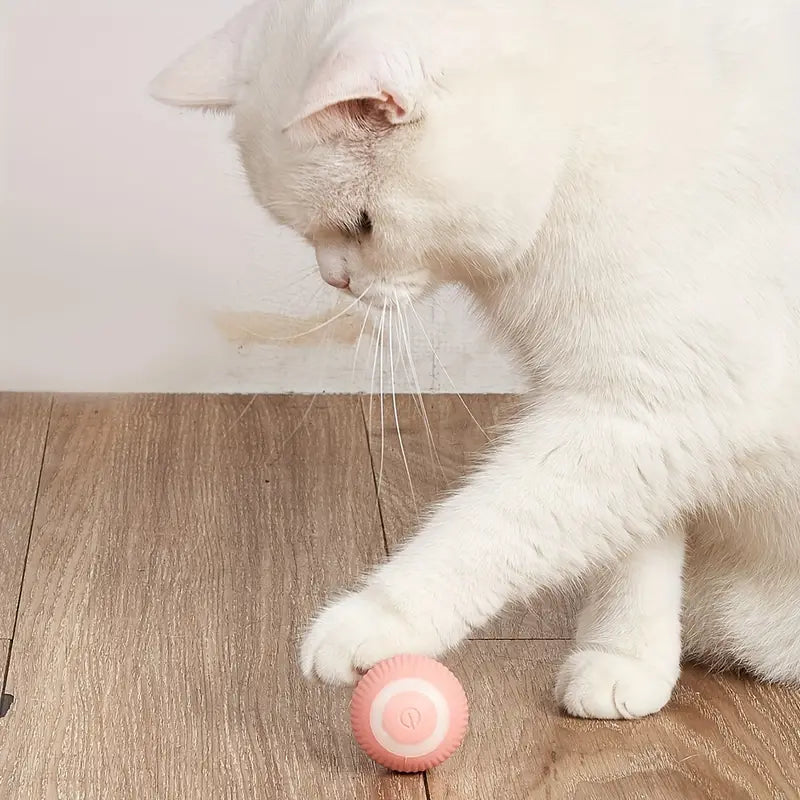 Slimme Interactieve Kattenbal – USB Oplaadbaar Speeltje met Bewegingssensor