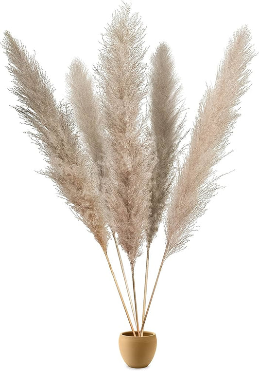 Pampas Plumes – Siergras Set van 3 – 90/120 cm – Onderhoudsvrij & Duurzaam – Voor Boho of Modern Interieur