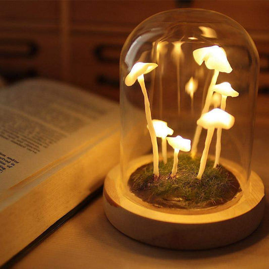MycoJar | DIY Paddenstoelen in een glas