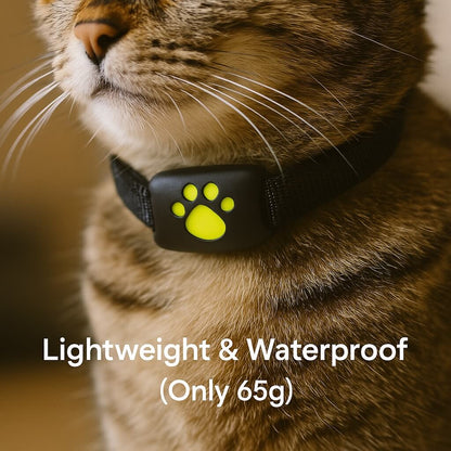FindMyCat GPS Tracker voor Katten – Zonder Abonnement – Veiligheidszone Alarm – Waterdicht & Lichtgewicht – Tot 12 Dagen Batterijduur