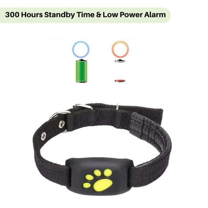 FindMyCat GPS Tracker voor Katten – Zonder Abonnement – Veiligheidszone Alarm – Waterdicht & Lichtgewicht – Tot 12 Dagen Batterijduur