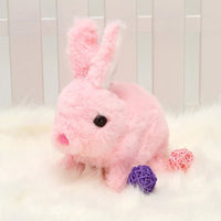 Roze