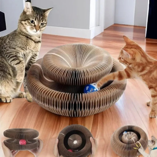 Opvouwbare Krabplank & Kattenmand – 2-in-1 Speel- en Rustplek van Karton voor Katten