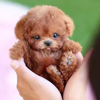 Ultra-Realistische Robotic Puppy Pluche – Interactieve Levensechte Hond – Loopt, Blaft en Reageert – Voor Kinderen & Volwassenen